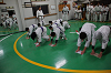 DSC01373[1]_thumb.png
